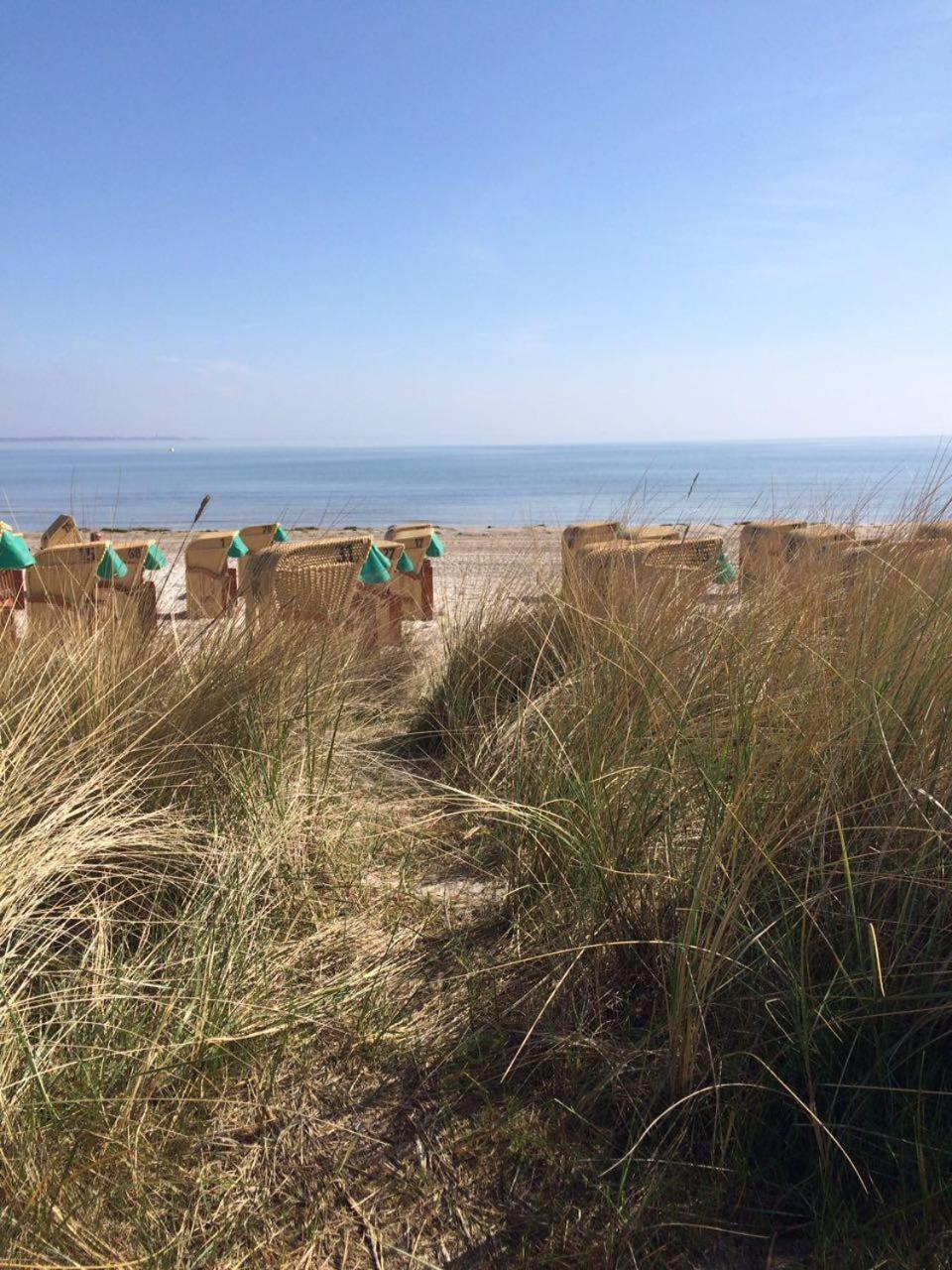 Ter 304 - Terrassenhuegel -Teilseeblick Scharbeutz Exteriör bild